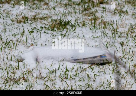 New Orleans, LOUISIANA, USA - 21 gennaio 2025: Primo piano di un quotidiano Times-Picayune sul cortile di una casa di Uptown all'inizio di una nevicata record. Il giornale fu poi sepolto dalla neve. I notiziari locali indicavano che in questa data erano caduti 10 centimetri di neve, e la neve cadde per circa 10 ore. Questa è stata la prima nevicata a New Orleans dal 2008. Foto Stock
