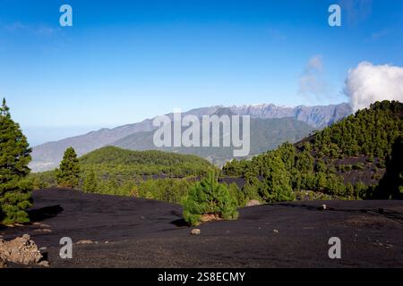 Escursioni nel paesaggio vulcanico dell'isola di la Palma, Isole Canarie, Spagna Foto Stock