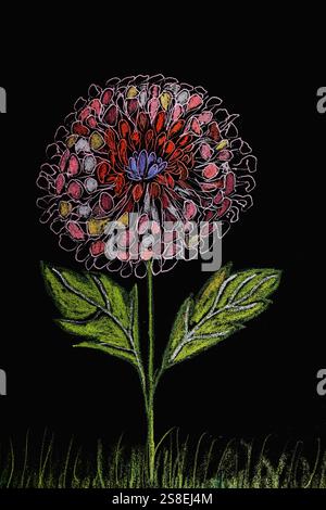 Fiore di Chrysantenum, disegno colorato con penna multicolore e inchiostro su carta nera. La tecnica di taglio vicino ai bordi conferisce un effetto di messa a fuoco morbido Foto Stock