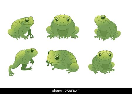 Raccolta di rane verdi in varie pose. Disegno di animali cartoni animati, carino anfibio. Ideale per illustrazioni naturalistiche, disegni naturalistici o didattici Illustrazione Vettoriale