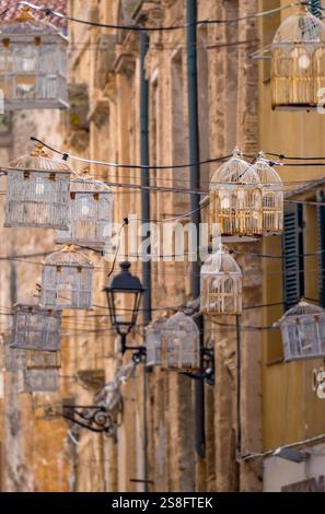 Vogelkäfig mit Glühbirnen an Stromleitungen zwischen Häusern über der Straße, Altstadt, Alghero, Europa, Provinz Sassari, Italien ACHTUNGxMINDESTHONORARx60xEURO *** gabbia per uccelli con lampadine su linee elettriche tra case sopra la strada, centro storico, Alghero, Europa, provincia di Sassari, Italia ATTENTIONxMINDESTHONORARx60xEURO Foto Stock
