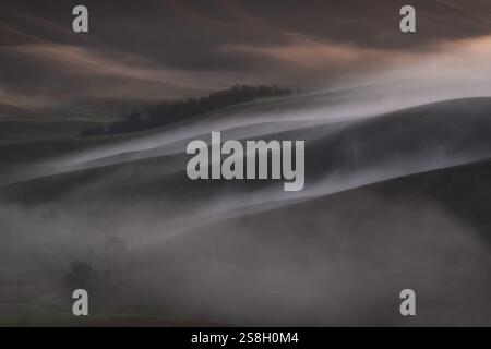 Un tranquillo paesaggio caratterizzato da colline ondulate ricoperte di una morbida nebbia Foto Stock
