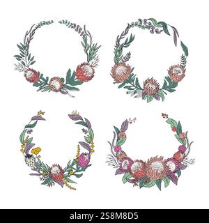 Set di cornici rotonde con fiori tropicali di protea disegnati a mano Illustrazione Vettoriale