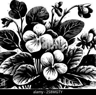 Immagine vettoriale in bianco e nero di un gruppo di pannelli o viole, stilizzata per assomigliare a una stampa lineare. Illustrazione Vettoriale