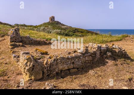 Halbinsel Sinis und historische Ruinen, area archeologica di Tharros Archäologisches Museum, Tharros, Europa, Provinz Oristano, Italien Foto Stock