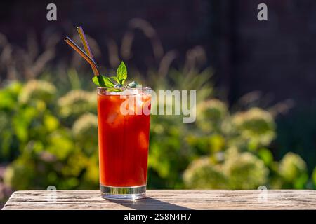 Cocktail Bloody mary con cubetti di ghiaccio e foglie di menta verde su sfondo naturale. Succo di pomodoro rosso in bicchiere su un tavolo di legno in una giornata di sole, primo piano Foto Stock
