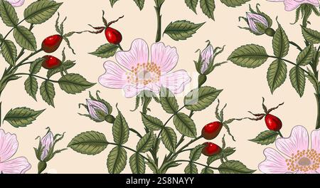 Disegno a mano del vettoriale di fiori di rosa canina colorata, disegno botanico senza cuciture. Illustrazione Vettoriale