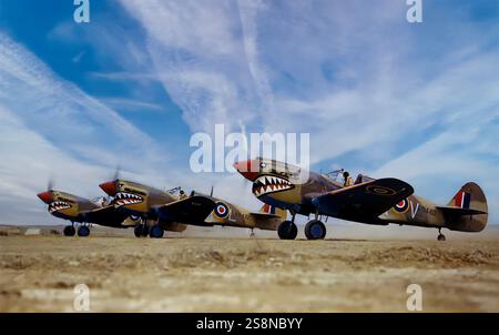 Curtiss P-40 Tomahawks sul campo d'aviazione del 112 Squadron, Royal Air Force, furono la prima unità di aviazione militare alleata a presentare il logo "Shark Mouth", copiando segni simili su alcuni caccia bimotore della Luftwaffe Messerschmitt Bf 110. Originariamente chiamato Warhawk, il caccia-bombardiere americano monomotore, monoposto, interamente in metallo che volò per la prima volta nel 1938. L'aereo fu utilizzato dalla maggior parte delle potenze alleate durante la seconda guerra mondiale e rimase in servizio in prima linea fino alla fine della guerra. I P-40 videro per la prima volta il combattimento con gli squadroni del Commonwealth britannico della Desert Air Force in Medio Oriente Foto Stock