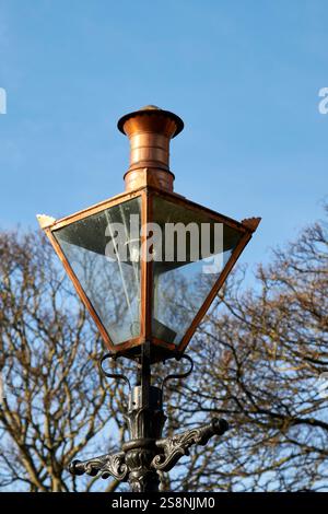 lampada a gas in rame per illuminazione stradale nel parco phoenix di dublino, repubblica d'irlanda Foto Stock