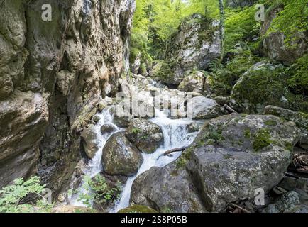 Sass Corbee, Lago di Como, Lago di Como, Italia, Europa Foto Stock