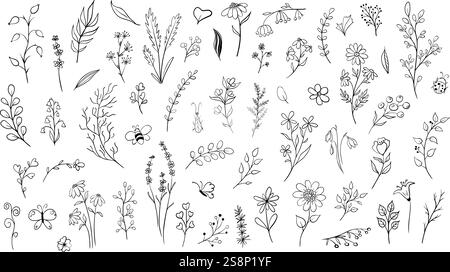 Grande set di piante e insetti per scarabocchi. Illustrazione disegnata a mano in bianco e nero monocromatico. Collezione vettoriale floreale con fiori e. Illustrazione Vettoriale