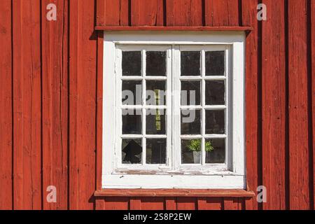 Finestra di un vecchio cottage di legno rosso con una finestra rotta e piante in vaso, Svezia, Europa Foto Stock