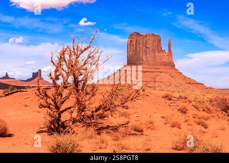 La Monument Valley è considerata una delle meraviglie naturali del mondo a causa della bellezza degli enormi "monumenti" di pietra che si sono evoluti Foto Stock