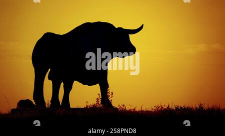 Un'immagine di una silhouette di toro post-incandescenza Foto Stock