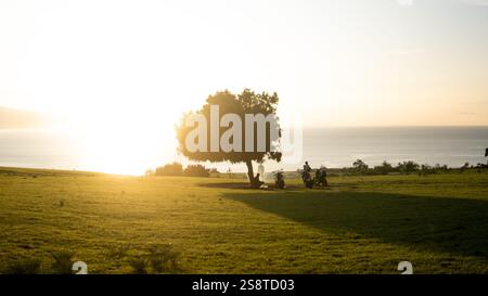 Una tranquilla scena di persone che riposano accanto a un albero solitario in una sassosa savana all'alba, bagnate da calde sfumature dorate con luce soffusa Foto Stock