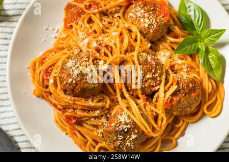 Polpette di spaghetti italiani fatti in casa con salsa di pomodoro e basilico Foto Stock