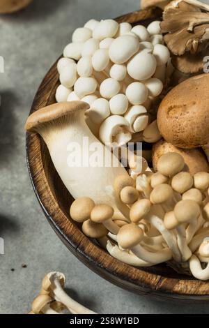 Funghi gourmet assortiti crudi biologici con crema di ostriche e tromba Foto Stock