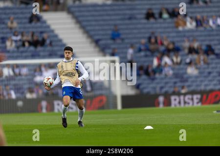Scene d'azione del gioco per la partita UEFA Europe League 2024/25 tra FC Porto e Olympiacos FC il 23 gennaio 2025 a Estádio do Dragão, Porto Foto Stock