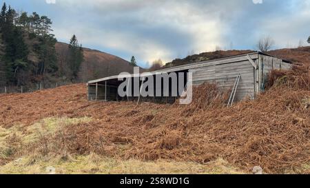 Vecchia stalla abbandonata nelle Highlands scozzesi. Perthshire, Scozia. Campagna ondulata e colline sullo sfondo. Colori autunnali. Vecchio Foto Stock