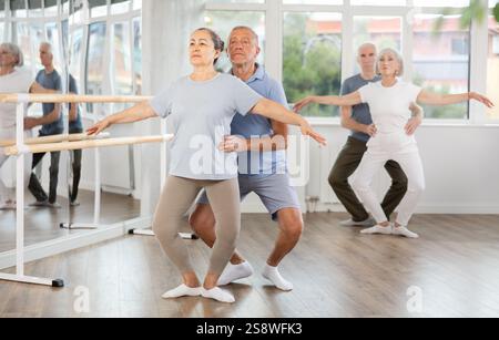 Diligente coppia di ballerini moderni anziani che praticano il balletto demi plie con supporto nella sala con bar di balletto Foto Stock