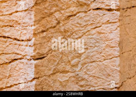 Peloponneso, Grece. Dettaglio delle colonne scanalate doriche al Tempio di Apollo Epicurio a Bassae di Filigalea. Patrimonio mondiale dell'UNESCO. Architettura classica Foto Stock