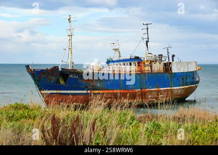 Naufragio spiaggiato sulla costa dello stretto di Magellano a Punta Arenas, la città più meridionale del Cile, Sud America Foto Stock