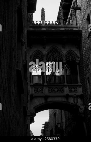 Il Ponte del Vescovo o Pont del Bisbe è uno storico ponte neogotico sul Carrer del Bisbe nel quartiere gotico di Barcellona. Il ponte è pieno di intricati Foto Stock