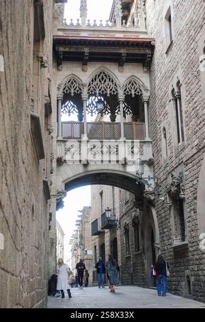 Il Ponte del Vescovo o Pont del Bisbe è uno storico ponte neogotico sul Carrer del Bisbe nel quartiere gotico di Barcellona. Il ponte è pieno di intricati Foto Stock