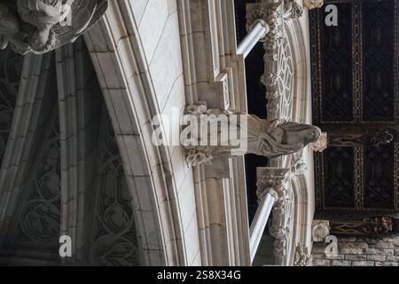 Il Ponte del Vescovo o Pont del Bisbe è uno storico ponte neogotico sul Carrer del Bisbe nel quartiere gotico di Barcellona. Il ponte è pieno di intricati Foto Stock