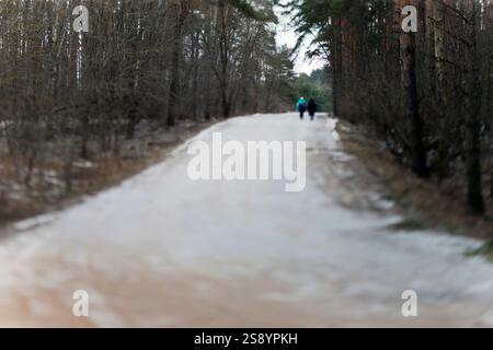 people walking through the gloomy forest or park, winter scene. defocused shot Foto Stock