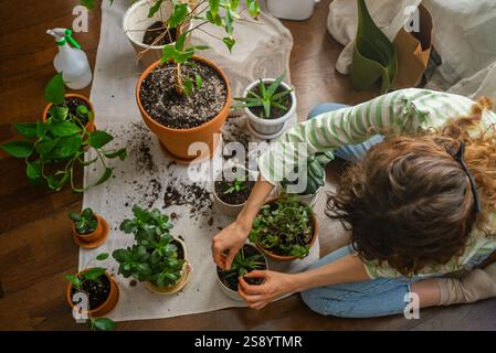 Donna seduta sul pavimento, che ha reintatto con cura una piccola pianta succulenta mentre è circondata da varie piante d'appartamento, attrezzi da giardinaggio e terreno di inglobamento, cr Foto Stock