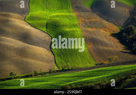 I vivaci campi verdi e marroni creano splendidi motivi sulle colline ondulate. Un pittoresco paesaggio agricolo che mostra la bellezza della terra coltivata e del verde naturale in ambienti rurali. Foto Stock