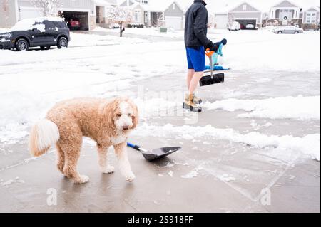 Padre e figlia spalancano la neve con il cane Foto Stock