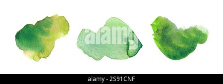 L'acquerello verde vivace è caratterizzato da tonalità terrose e texture naturali. Ideale per design ecocompatibili, arte botanica o ispirati alla natura Foto Stock