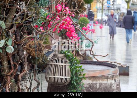 Un angolo decorativo con una botte di legno, su cui è appesa una gabbia per uccelli, rami con fiori rosa si avvolgono intorno, creando un romantico e accogliente Foto Stock