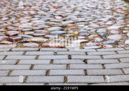 Un percorso rivestito di ciottoli di varie dimensioni e colori che si dissolve in una superficie liscia e grigia. Foto Stock