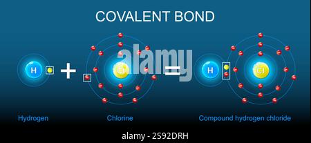 Struttura del legame covalente. Formazione di cloruro di idrogeno composto da cloro e atomo di idrogeno. Legame chimico molecolare che comporta la condivisione di Illustrazione Vettoriale