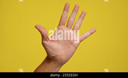 Mano dell'uomo su sfondo giallo brillante che mostra cinque dita in un'immagine ravvicinata ad alta risoluzione Foto Stock