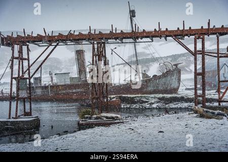 Stazione di caccia alle balene di Grytviken in Georgia del Sud Foto Stock