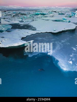 Vista aerea delle foche che nuotano tra gli iceberg a Jökulsárlón, nell'Islanda meridionale, all'alba Foto Stock