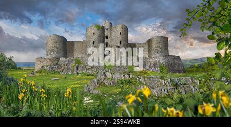 Foto del castello medievale di Harlech, Galles. Il castello di Harlech è un re medievale Edwcared i su 200 piedi (61 m) una scogliera rocciosa che si affaccia sul mare Foto Stock