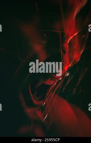 Ritratto ravvicinato di una ragazza vampira con lunghe zanne su sfondo rosso. Foto Stock