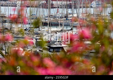 Barche a vela e yacht a vela in un porto turistico nel porto di Palma, Maiorca, Maiorca, Isole Baleari, Spagna, Europa Foto Stock