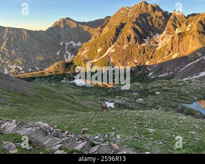 Humboldt Peak e South Colony Lakes Trail a Sangre De Cristo Wilderness, Colorado, USA Foto Stock