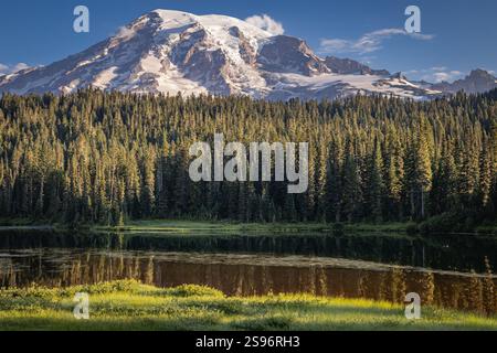 Mount Rainier National Park, Washington, Stati Uniti. Vista del Monte Rainier nel tardo pomeriggio dall'area Paradise del Parco Nazionale del Monte Rainier. Foto Stock