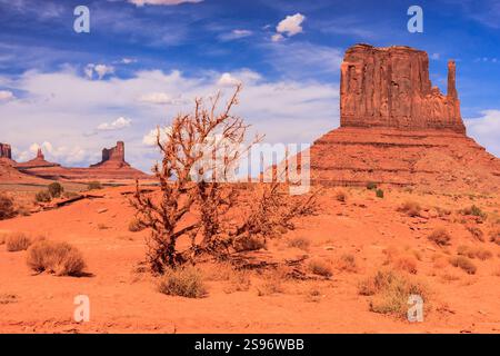 La Monument Valley è considerata una delle meraviglie naturali del mondo a causa della bellezza degli enormi "monumenti" di pietra che si sono evoluti Foto Stock