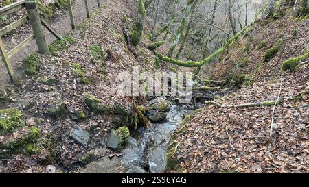 I Birks of Aberfeldy sono famosi per passeggiare lungo il Moness Burn con cascate e alberi secolari. Dove Robert Burns ha scritto la sua canzone d'amore scozzese. bello Foto Stock