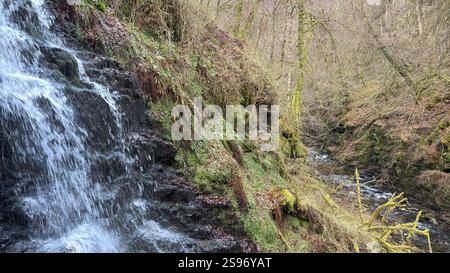 I Birks of Aberfeldy sono famosi per passeggiare lungo il Moness Burn con cascate e alberi secolari. Dove Robert Burns ha scritto la sua canzone d'amore scozzese. bello Foto Stock