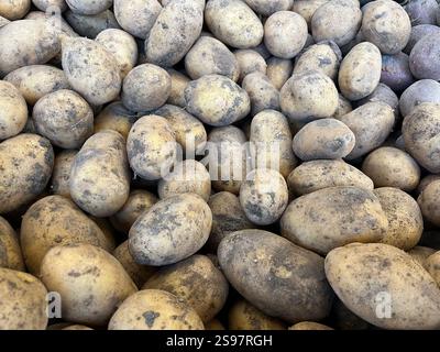 Patate crude sporche al bancone di un supermercato. Foto Stock