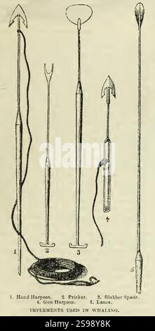 Attrezzi utilizzati nella caccia alle balene da Harper's New Monthly Magazine, volume 12, dicembre 1855 a maggio 1856 (IA harpersnew12harper) (pagina 483 raccolto). Foto Stock